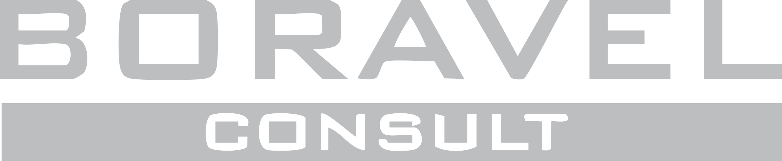 Начало 11 2025 06 02 Scaling Up Лого Boravel Consult scaled